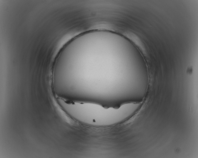 X0000092281040200709281241