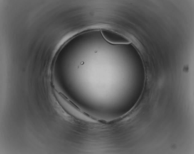 X0000092281044200709281241