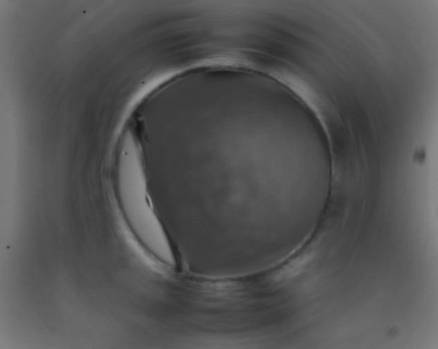 X0000092281045200709281241