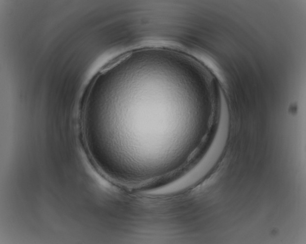 X0000092281046200709281241