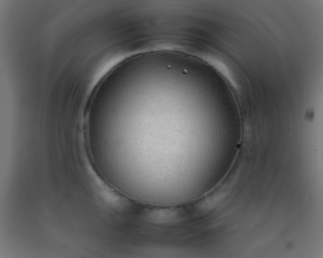 X0000092281047200709281241