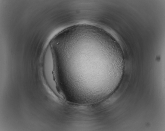 X0000092281048200709281241