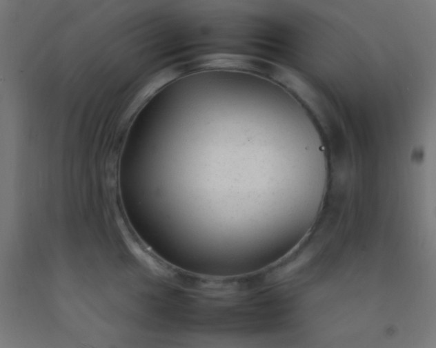 X0000092281049200709281241