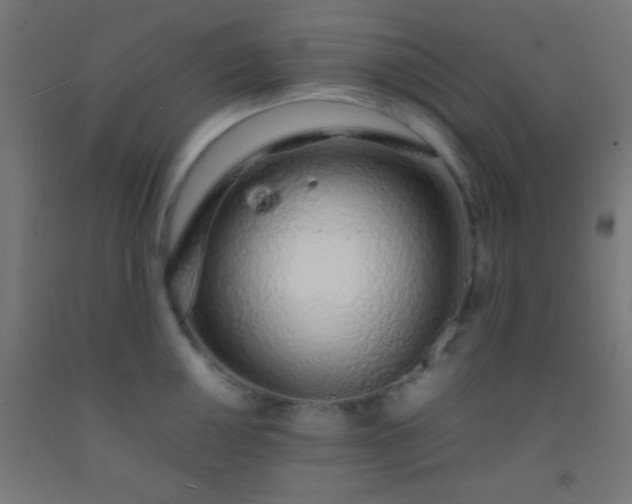 X0000092281050200709281241