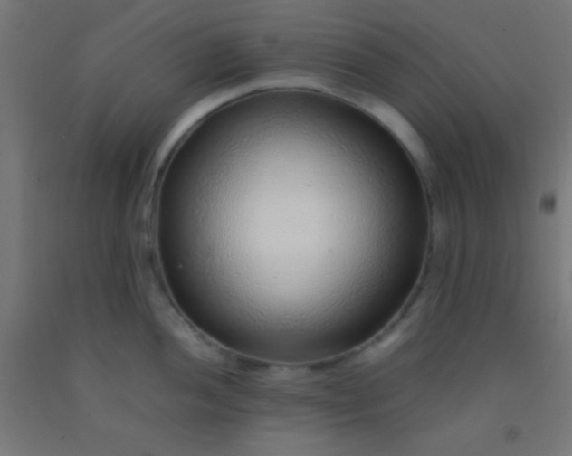 X0000092281052200709281241