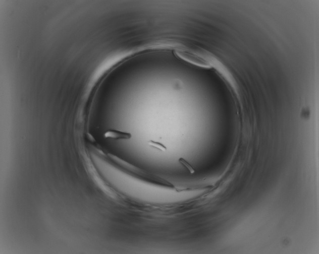 X0000092281053200709281241