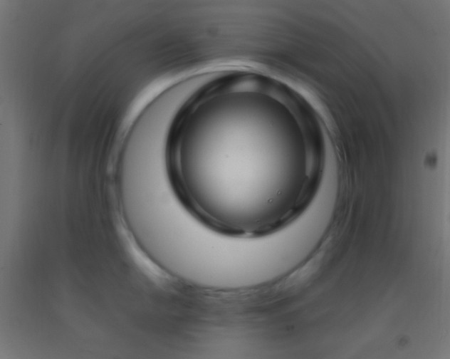 X0000092281054200709281241