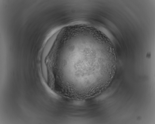 X0000092281055200709281241