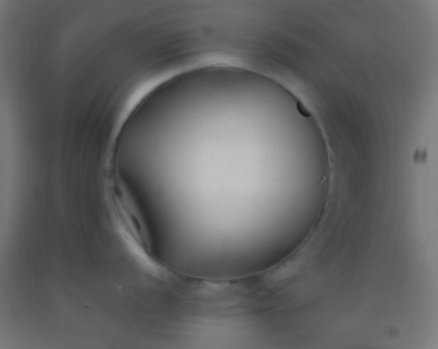 X0000092281056200709281241