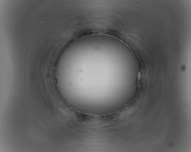 X0000092281057200709281241