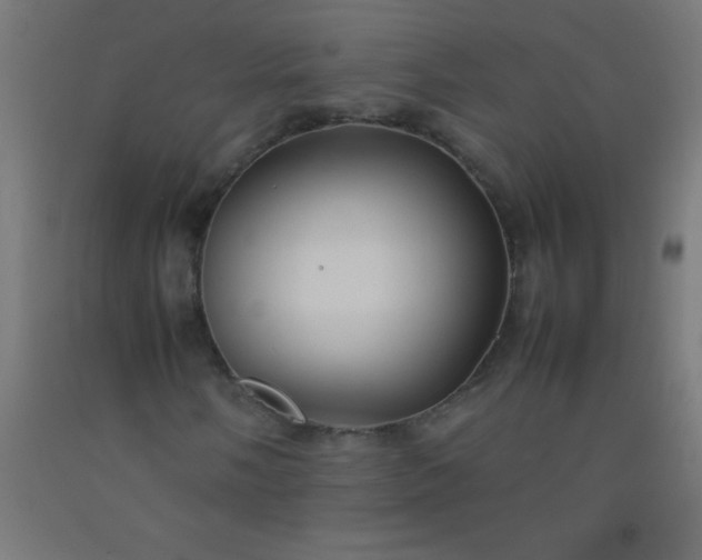 X0000092281058200709281241