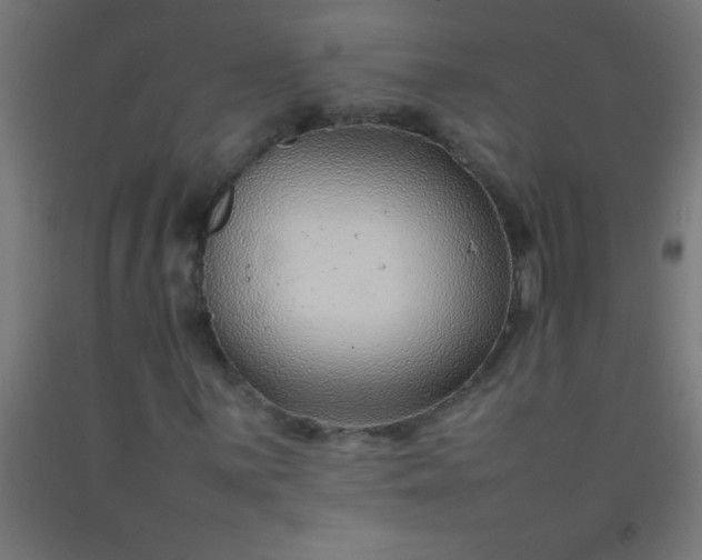 X0000092281059200709281241