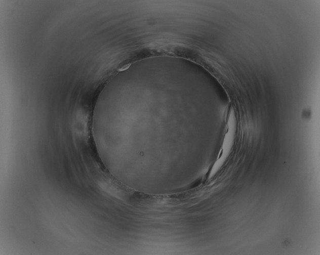 X0000092281060200709281241