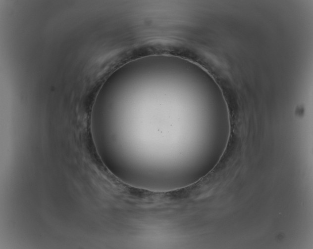 X0000092281061200709281241