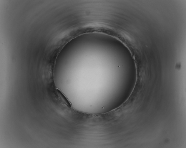 X0000092281062200709281241