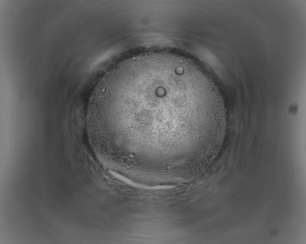 X0000092281063200709281241