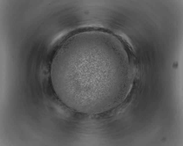 X0000092281064200709281241