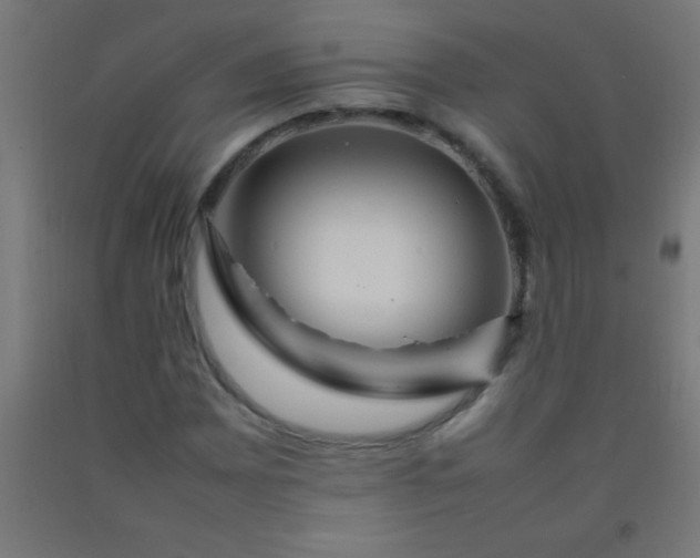 X0000092281065200709281241