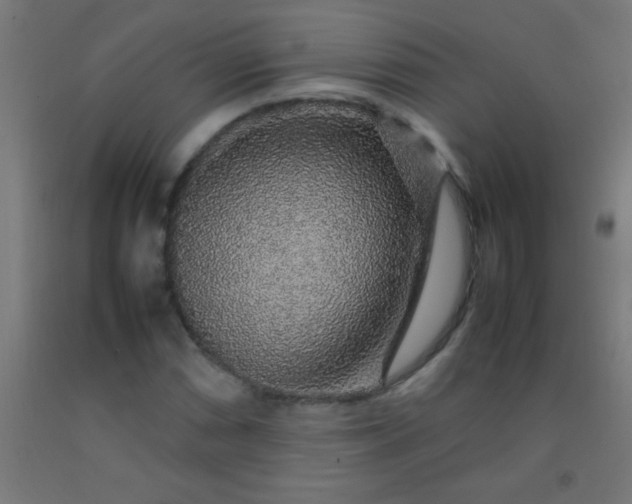 X0000092281066200709281241