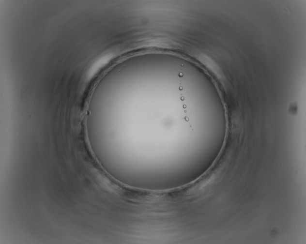 X0000092281067200709281241