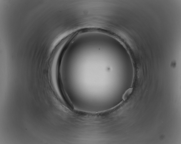 X0000092281069200709281241