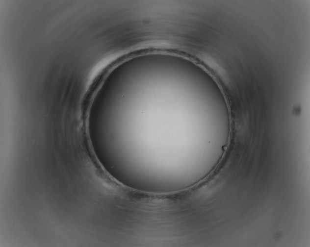 X0000092281070200709281241