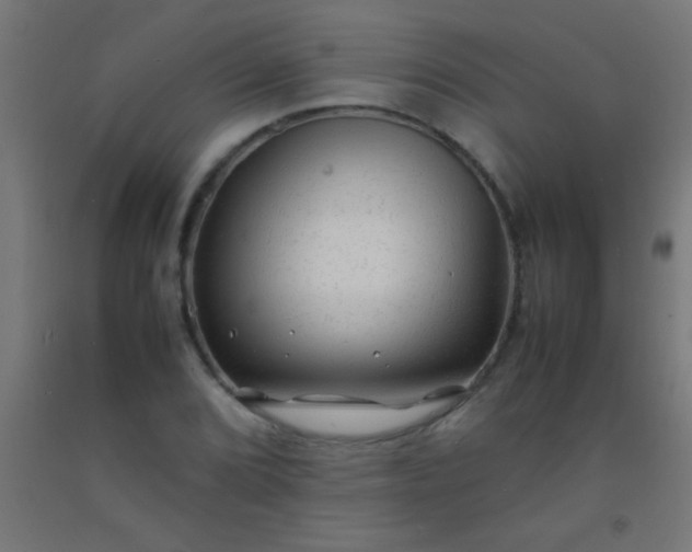 X0000092281072200709281240