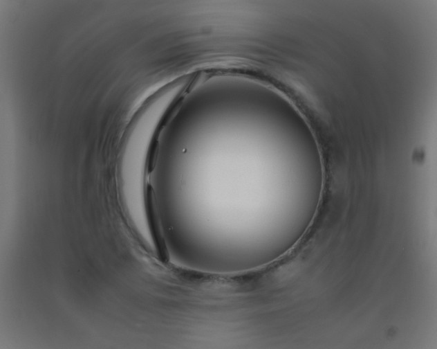 X0000092281073200709281240