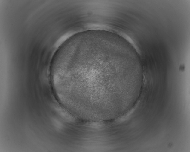 X0000092281074200709281240