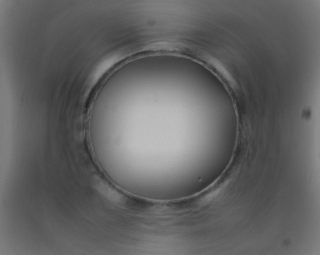 X0000092281075200709281240