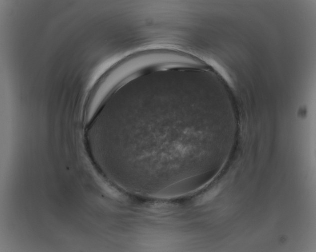 X0000092281077200709281240