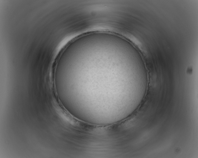 X0000092281078200709281240