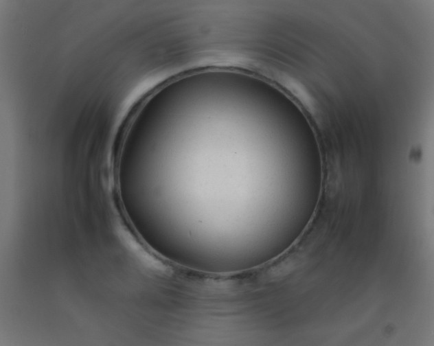 X0000092281080200709281240