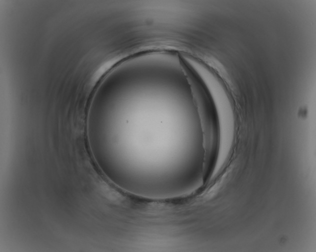 X0000092281081200709281240