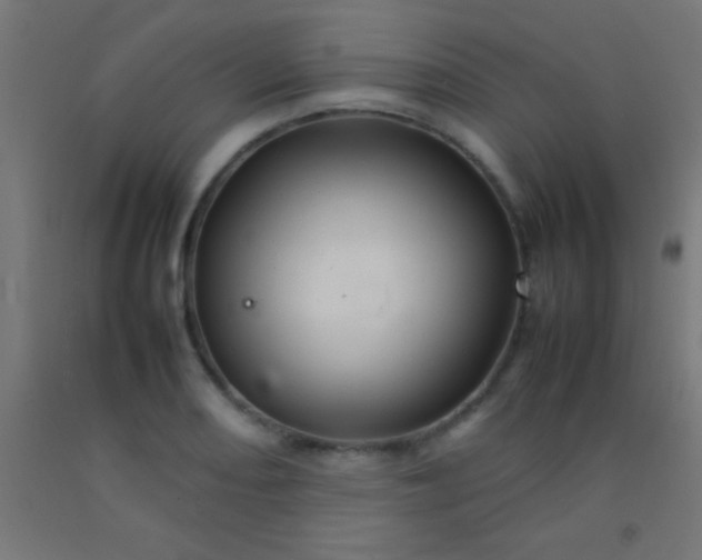 X0000092281082200709281240