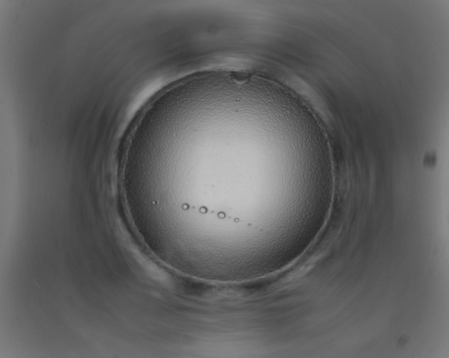 X0000092281083200709281240