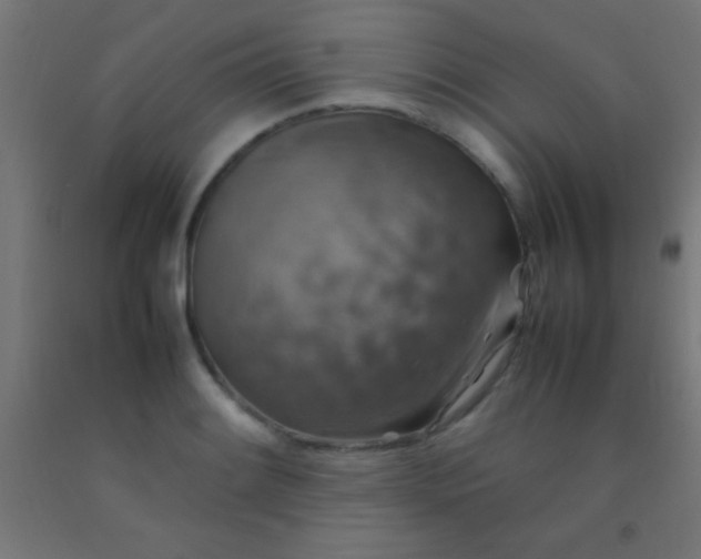 X0000092281084200709281240