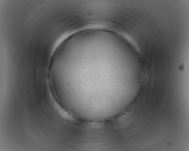 X0000092281086200709281240