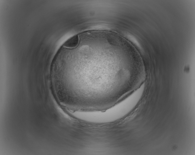 X0000092281087200709281240