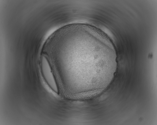 X0000092281088200709281240