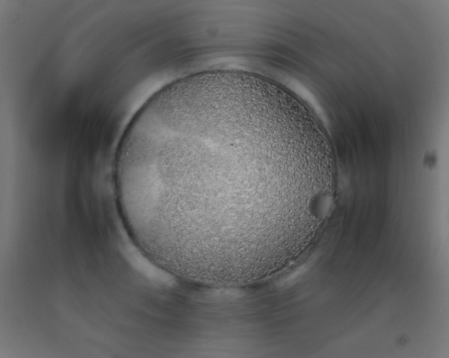 X0000092281090200709281240