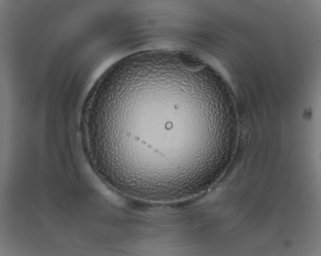 X0000092281091200709281240