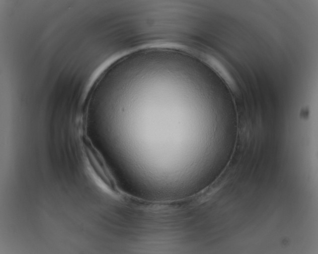 X0000092281092200709281240