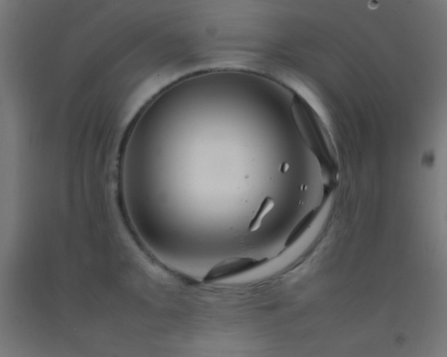 X0000092281093200709281240