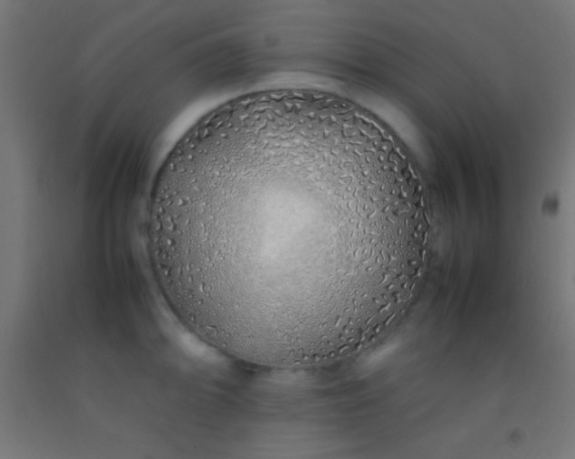 X0000092281094200709281240