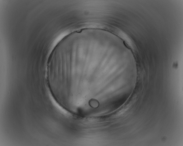 X0000092281095200709281240