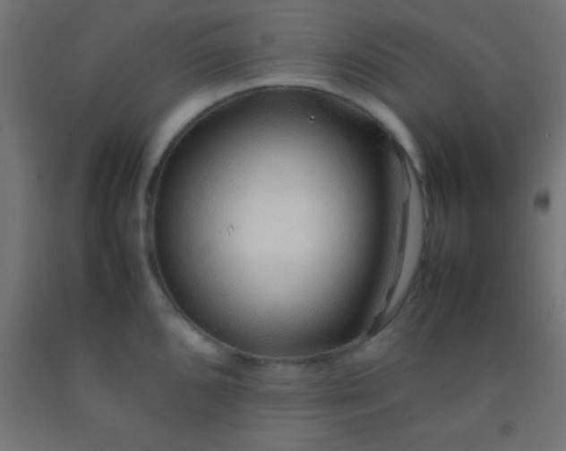 X0000092281096200709281240