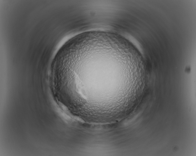 X0000092281099200709281240