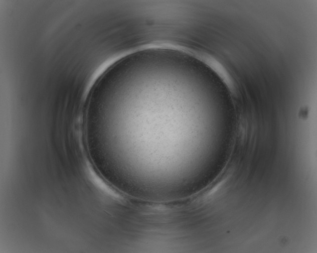 X0000092281100200709281240