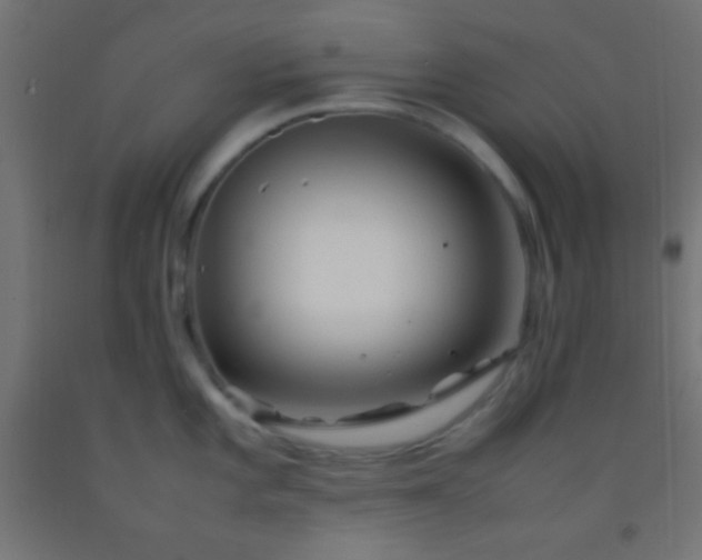 X0000092281101200709281240